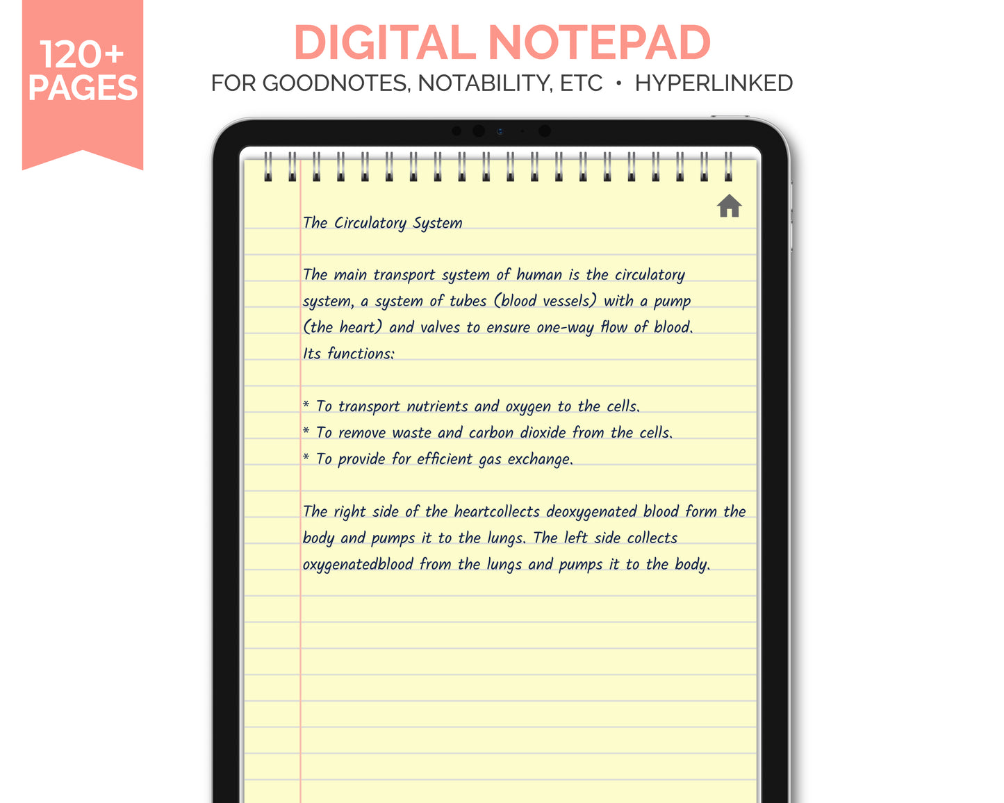 Digital Planner Bundle